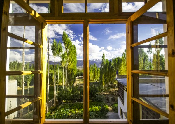 Cost of Wood Window Replacement in Rockville