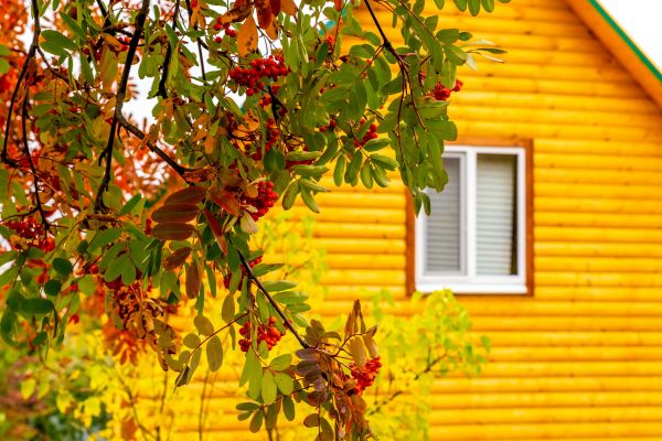 Cost of Garden Window Replacement in Rockville
